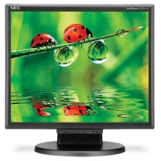 NEC LCD175M  17 Desktop Monitor w/ Built-In Speakers