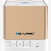 Blaupunkt BT02 Ηχείο Bluetooth 2W με Ραδιόφωνο και 7 ώρες Λειτουργίας Gold