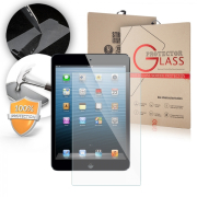 LCD GLASS SCREEN PROTECTOR iPad mini 7,9